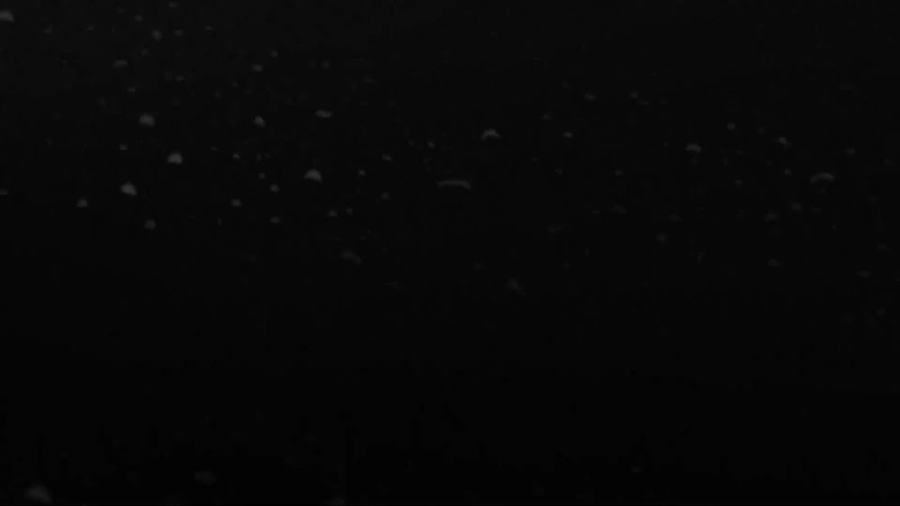 Night Particle Field