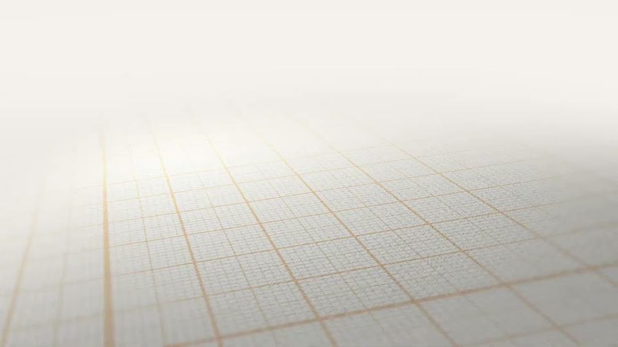 Fine Grid Perspective
